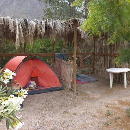 Astro Camping Elqui Experience Vicuna Bagian luar foto